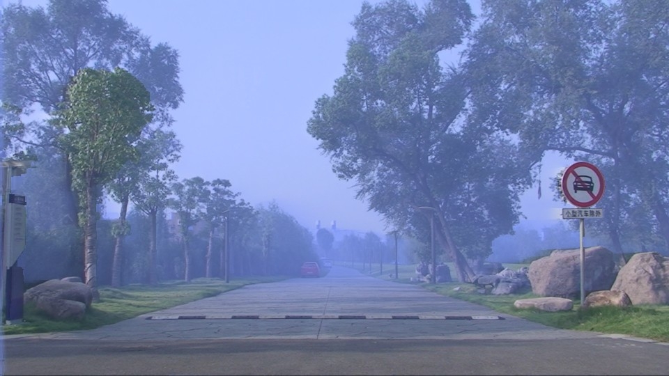 Hazy Input