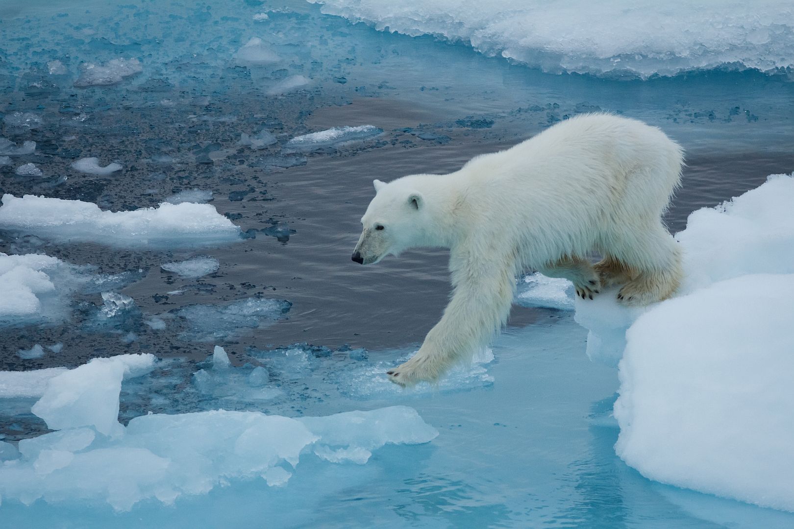 Svalbard