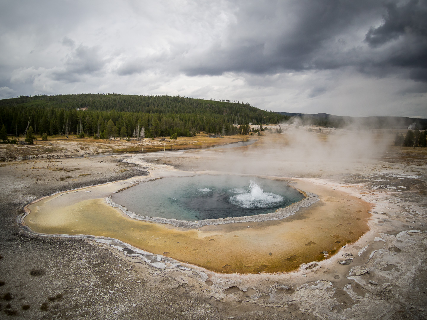 Yellowstone NP