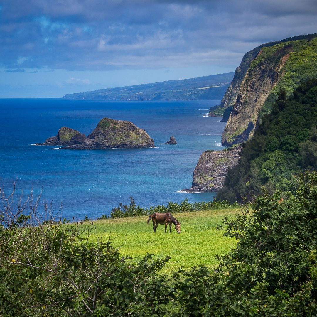Hawaii, USA